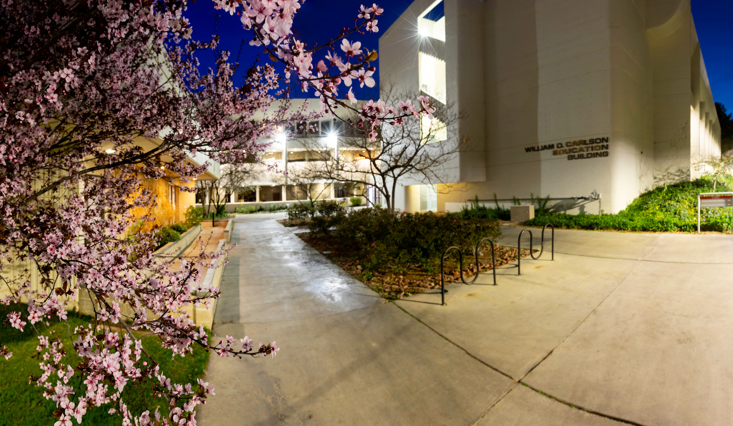 Night time shot of the Carlson Education Building